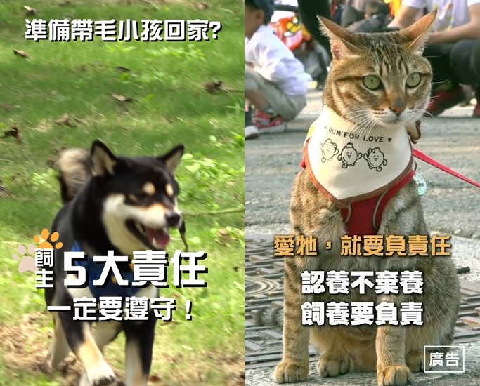 公告縮圖：轉知：彰化縣推動「愛牠，就要負責任：飼主五大責任，共同守護毛孩幸福生活」宣導，與民眾共同建立正確飼養及動物保護觀念。